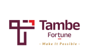 Tambe Fortune Make It Possible - Residential Real Estate Project Marketing Success